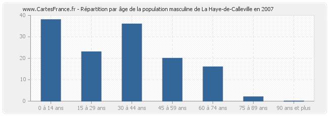 Répartition par âge de la population masculine de La Haye-de-Calleville en 2007